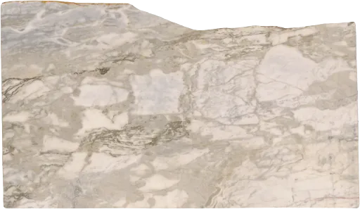 C12990-021