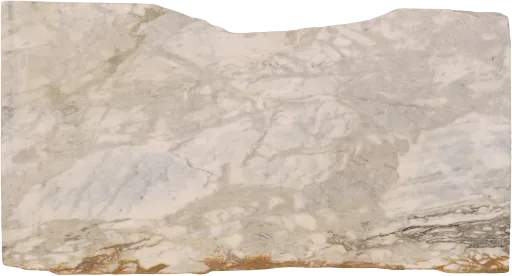C12990-007