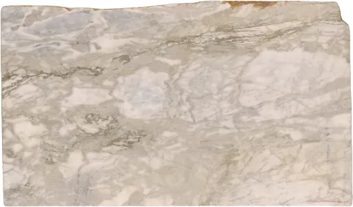 C12990-019
