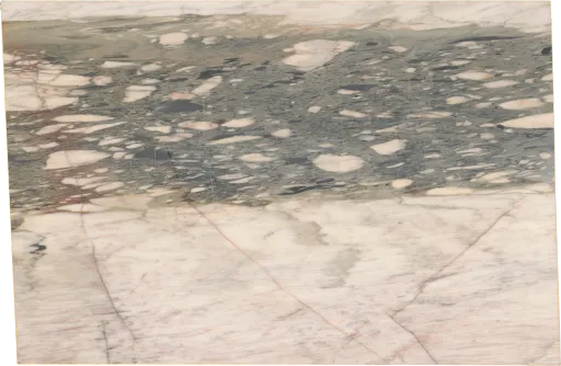FM29551-019