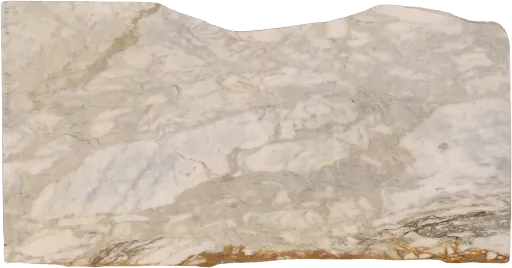 C12990-005