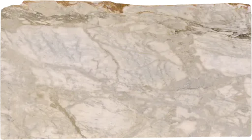 C12990-010