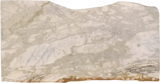 C12990-004