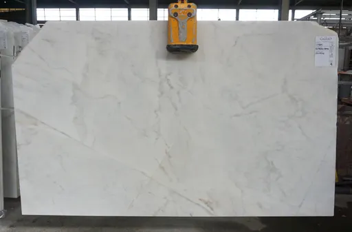 C13845